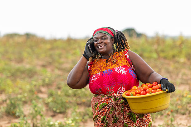 Guinea development visual 3