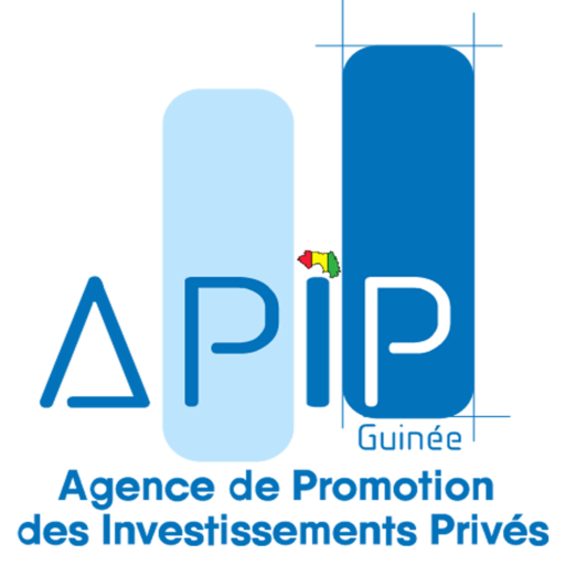 APIP Guinée logo